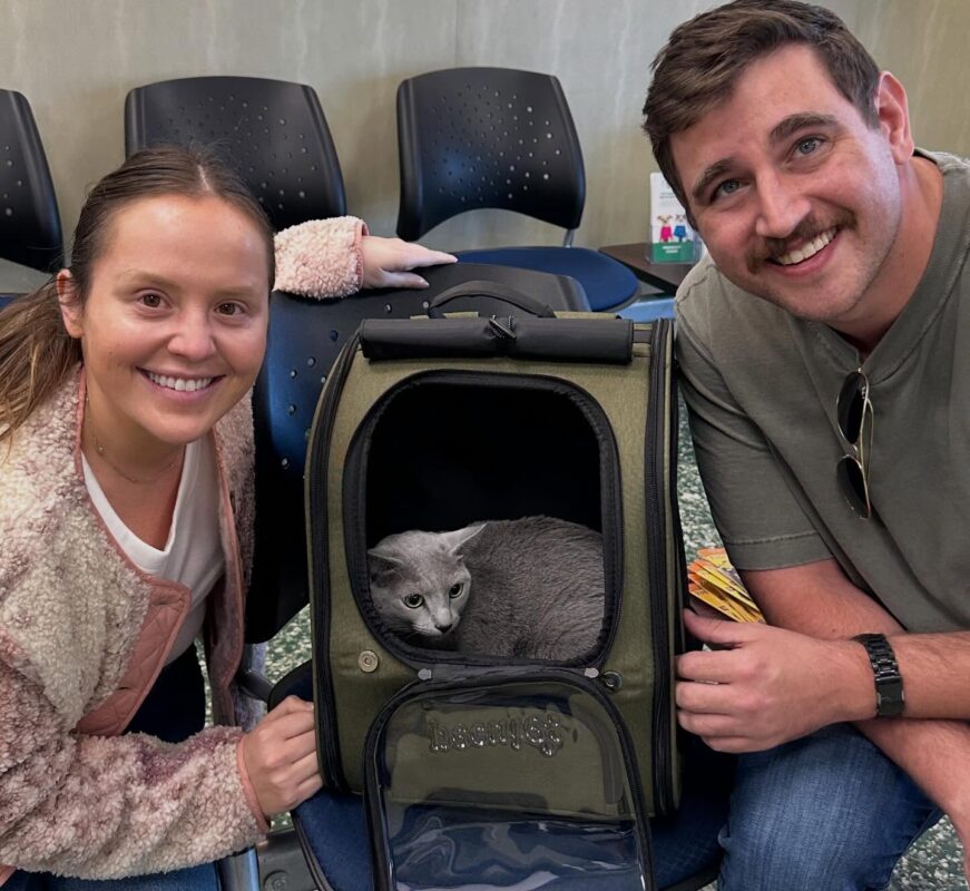 Russian Blue breeder in Virginia